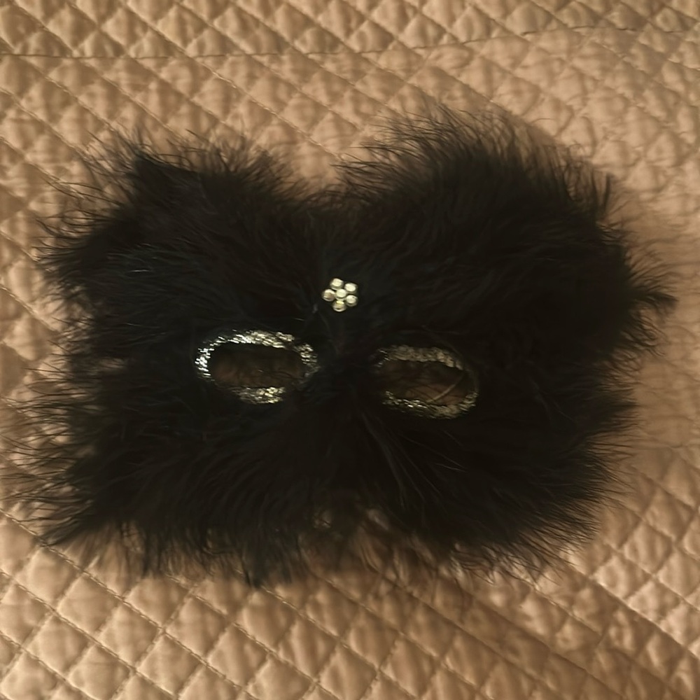 Feather/ Cat mask